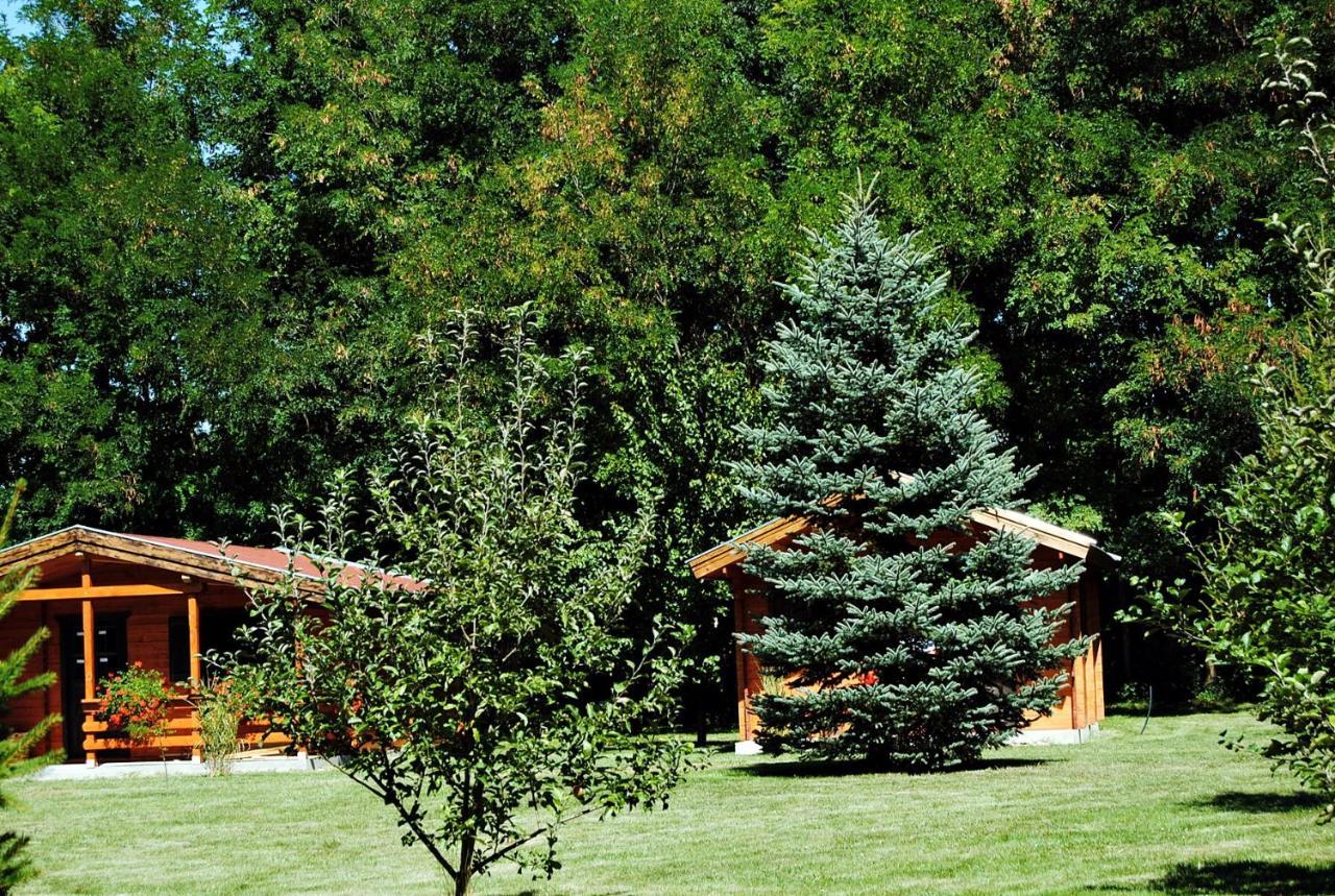 Villa Hedi Vendeghaz 杜瑙基利蒂 外观 照片